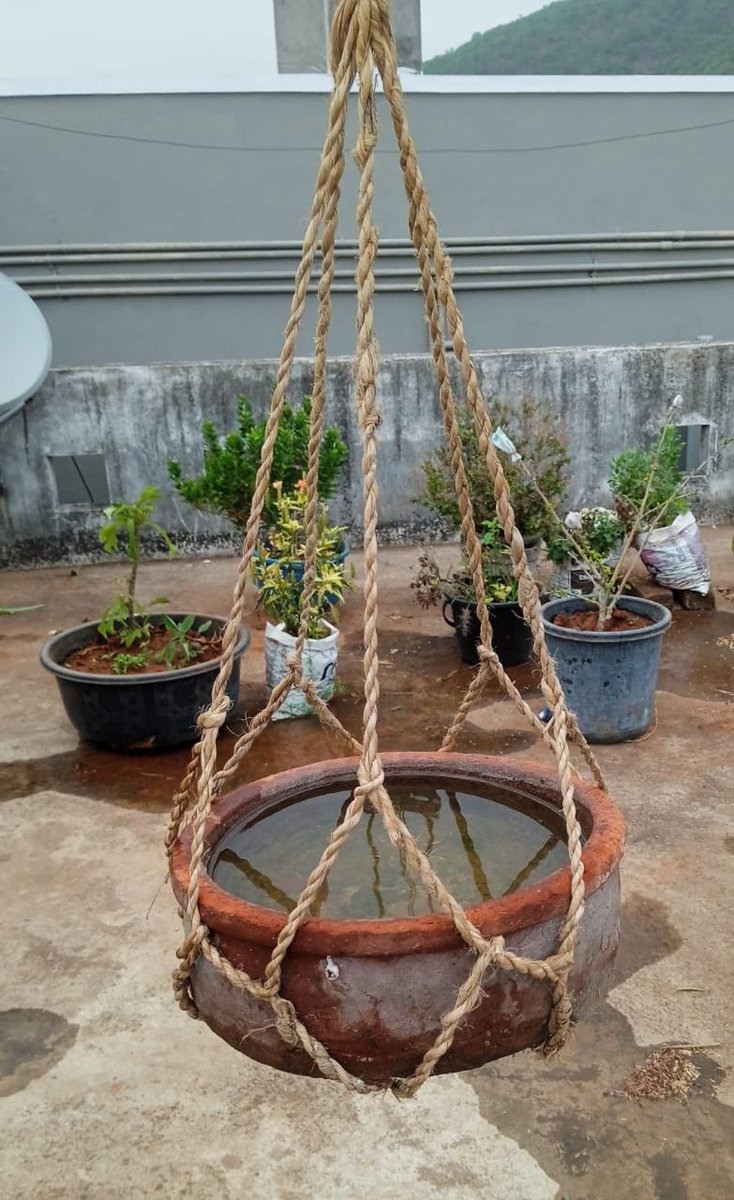 V. V. Lakshmi Narayana , A+ (JD) on Twitter "In the scorching summer