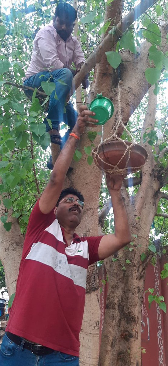 V. V. Lakshmi Narayana , A+ (JD) on Twitter "In the scorching summer