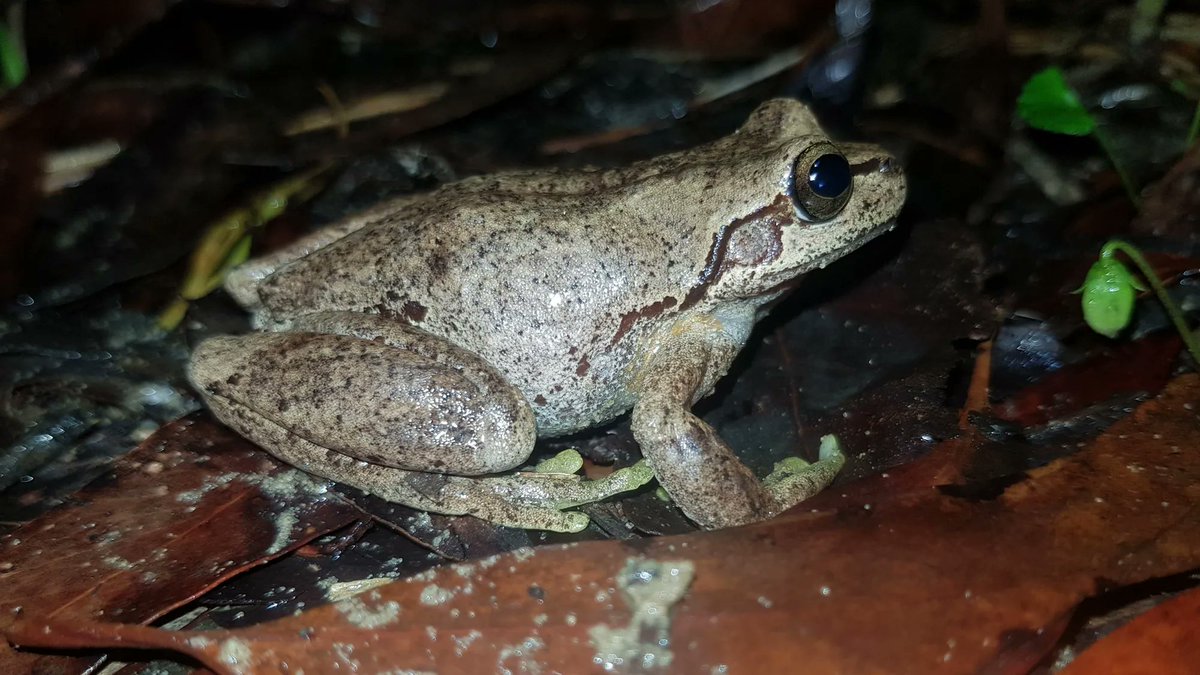 Sarah Stock tweet media