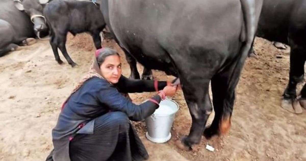 SoomroHaleema's tweet photo. Unrecognized and unpaid women labor in rural areas. Trubute to rural women On labor day https://t.co/fRkOJY9FE8