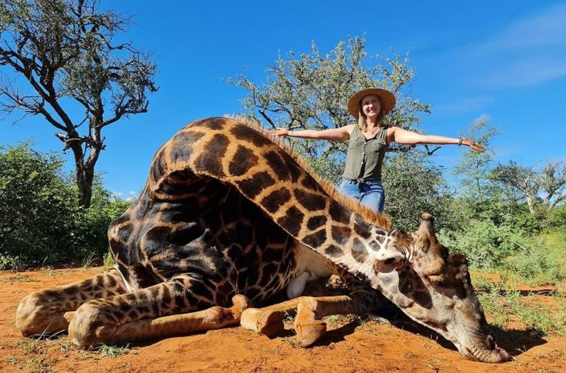 AMAZ1NG_NATURE's tweet image. #ThoughtForTheDay 

“Trophy hunting is humanity at its very worst!” - @RickyGervais.

Ban #TrophyHunting NOW!!