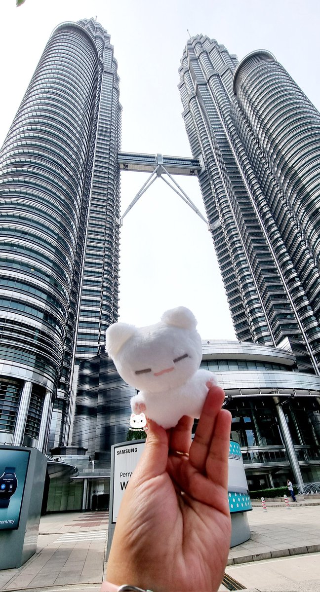 nanadwp /rest/ tweet media