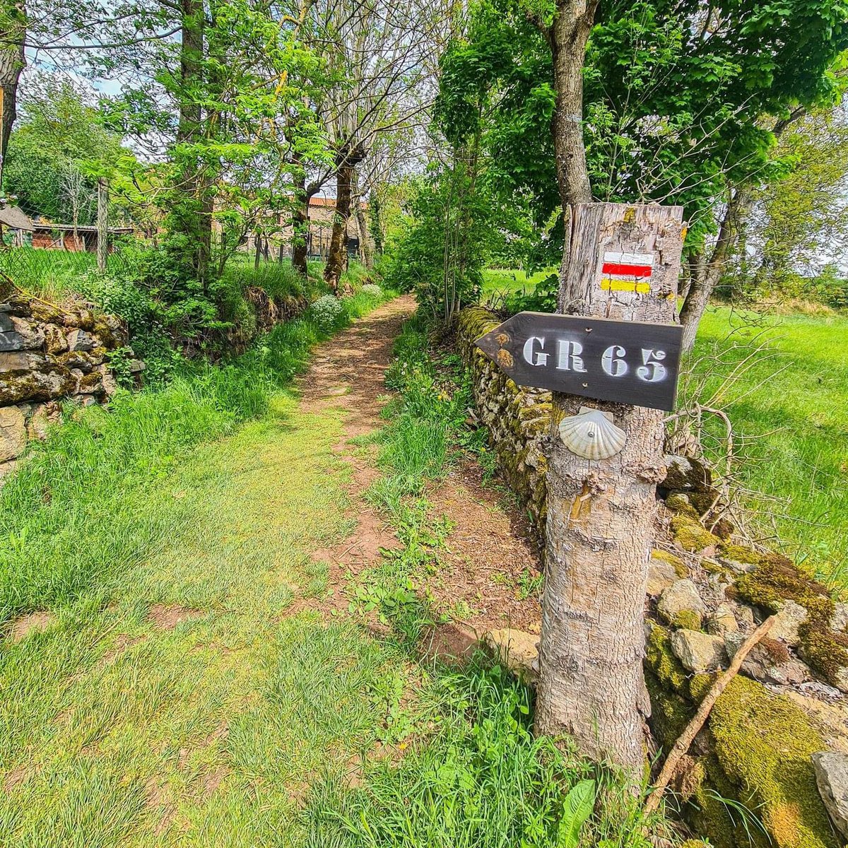 otpuyenvelay's tweet photo. Et voici le joli mois de Mai 😘! Le territoire du Velay vous attend pour célébrer le #printemps 🌼🌸🌿#lepuyenvelay #mai #vacances #saintjacques #vtt #envelay #auvergnerhonealpes https://t.co/hmlof8T3fK