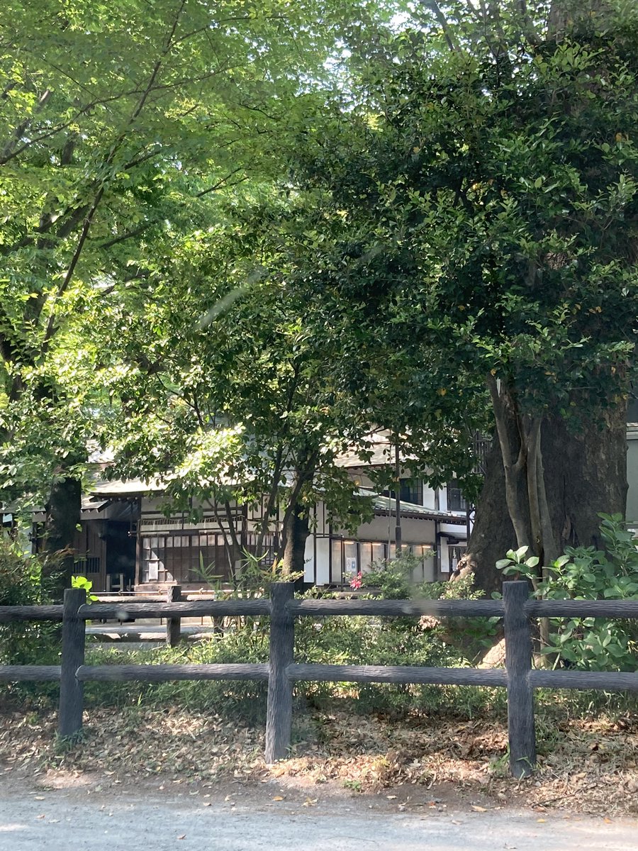 BossaSoyokaze's tweet image. 今日から５月。１日は月次祭の日らしいので、いつもの神社で毎回参拝時の祈願に加えて今日は、「KさんのFX BASEと所属するみんなが全員爆益を勝ち取れるよう、見守ってて下さい」と宣言してきました☺️💕

新緑が気持ち良かったな〜
今月もコツコツ頑張りましょ🥰

#FXBASE
#おめでとうございます
#FX