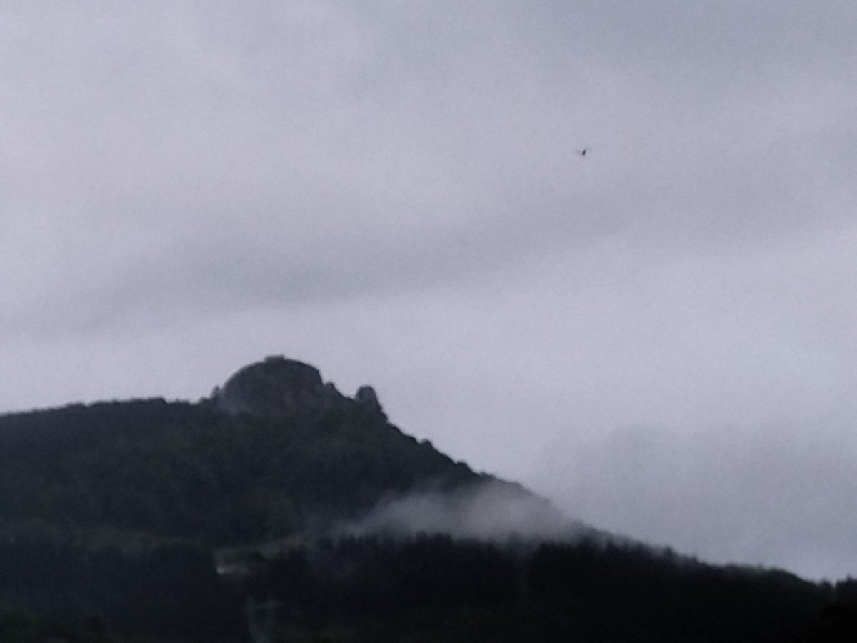 Aber weil Hiersein viel ist, 
und weil uns scheinbar
alles das Hiesige braucht.

▪️ Rilke