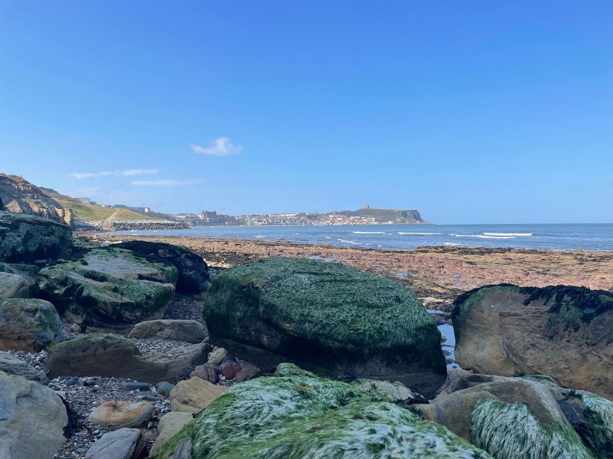 RivelynHotel's tweet photo. Scarborough South Bay https://t.co/QBkYNqvvVz