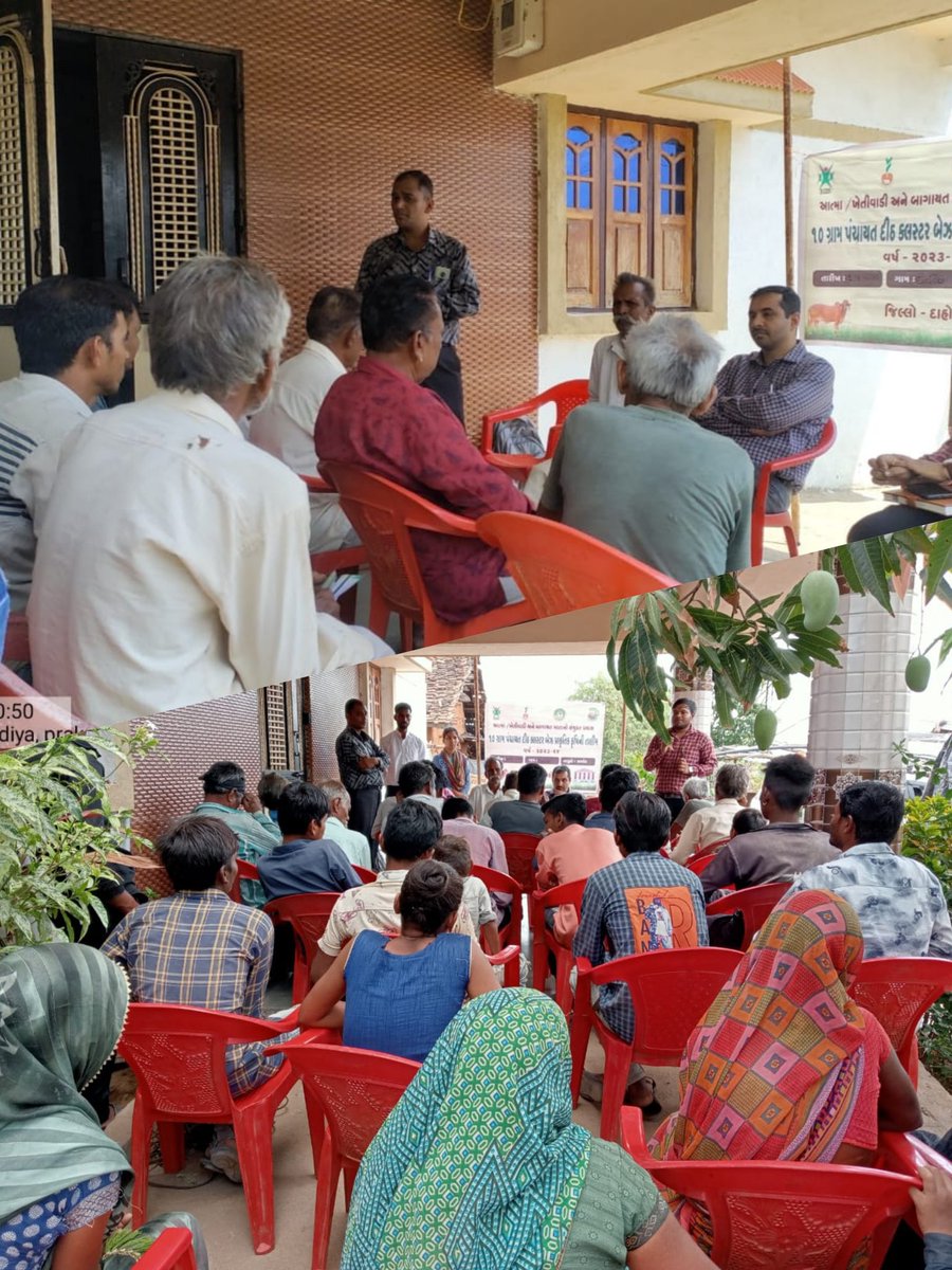 DaoDahod's tweet image. ઝાલોદ તાલુકા ના ધાવડિયા ગામે 10 ગ્રામપંચાયત દીઠ ક્લસ્ટર બેઝ પ્રાકૃતિક કૃષિ તાલીમ માં હાજર રહી ખેડૂતો ને પ્રાકૃતિક કૃષિ નું માર્ગદર્શન આપ્યું તથા જીવામૃત અને આચ્છાદન નું પ્રત્યક્ષ નિદર્શન કર્યું.