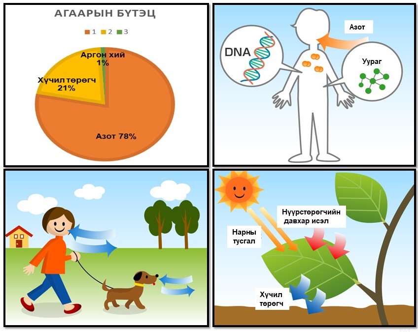Бидний амьсгалж байгаа агаарын 78 %-г азот эзэлдэг. Агаар нүдэнд үзэгдэж, гарт баригддаггүй ч  1 литр ойролцоогоор 1.2 гр. Бид азот, хүчил төрөгчөөр амьсгалж түүнийгээ нүүрсхүчлийн давхар исэл болгон гаргана. Үүнийг мод хүчил төрөгч болгон хувиргана. Ай байгалын хуулиа гэж..