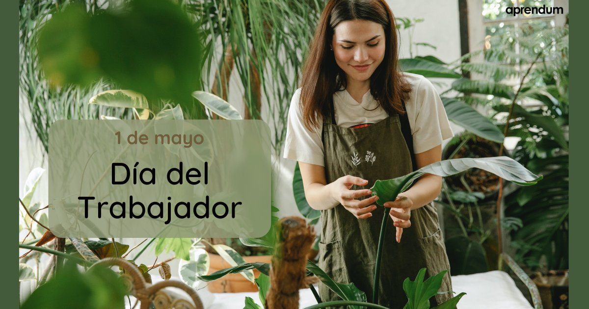 Aprendum tweet media