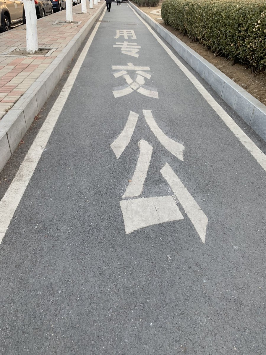 los_cd123's tweet photo. #大连 #字母 #cd 有喜欢骂人的主子嘛🐶 https://t.co/HP25xdYRnV