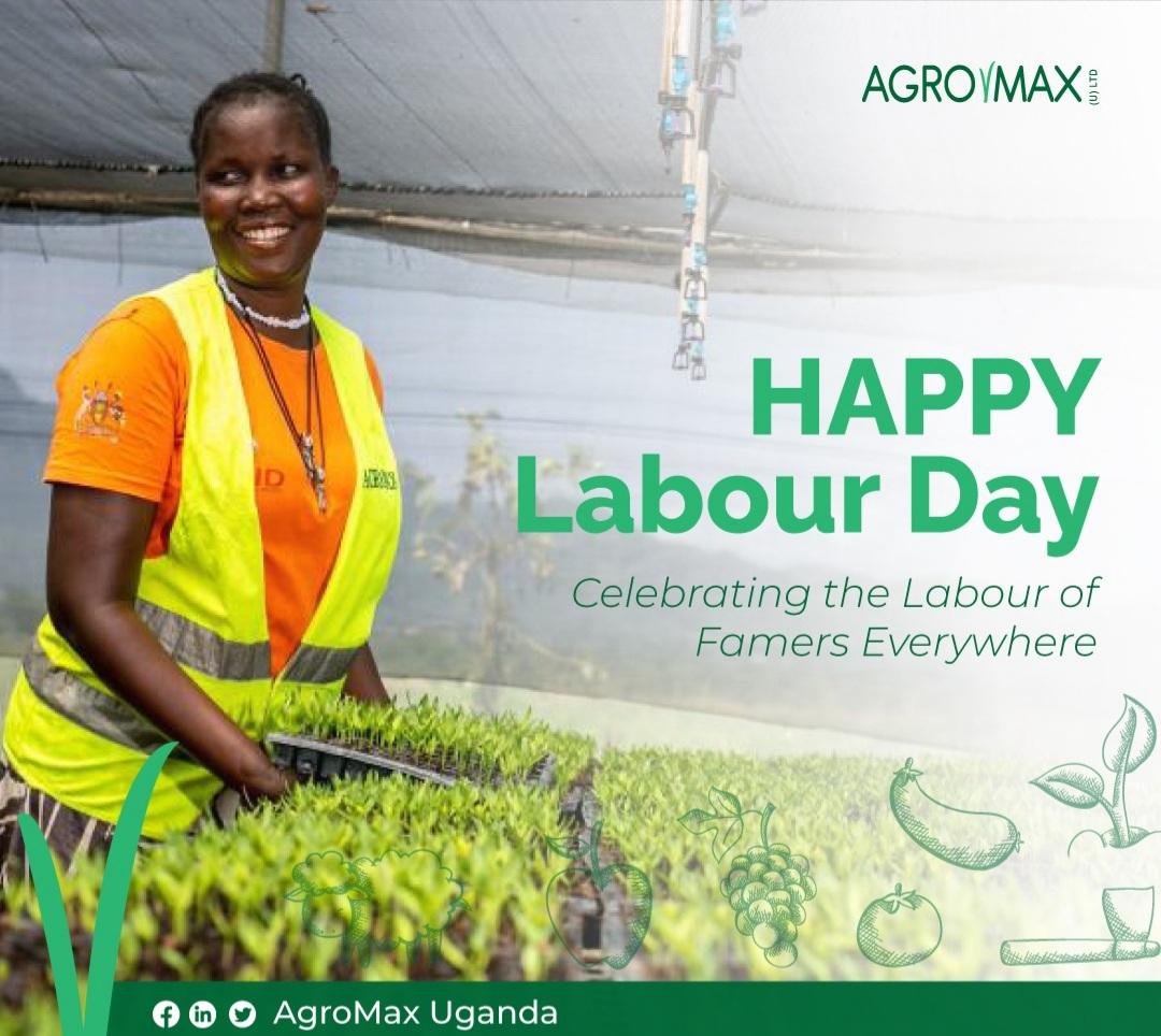 Agromax uganda tweet media