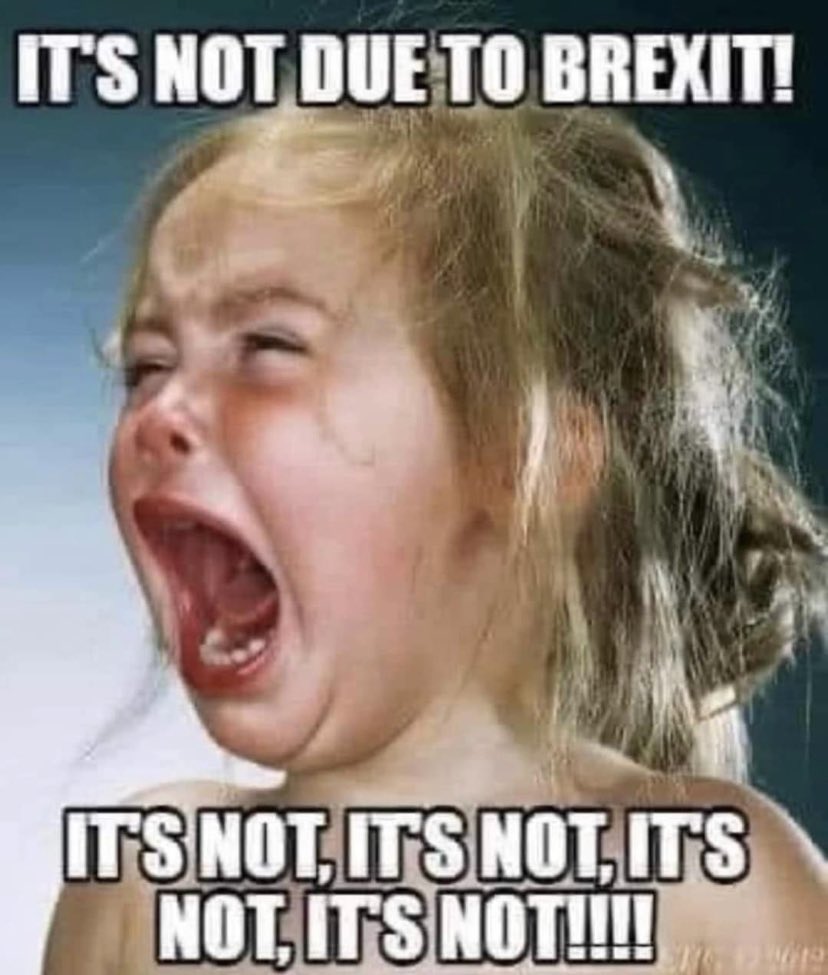 arno_real's tweet image. It&apos;s not Madeline who needs to grow up #brexitbot