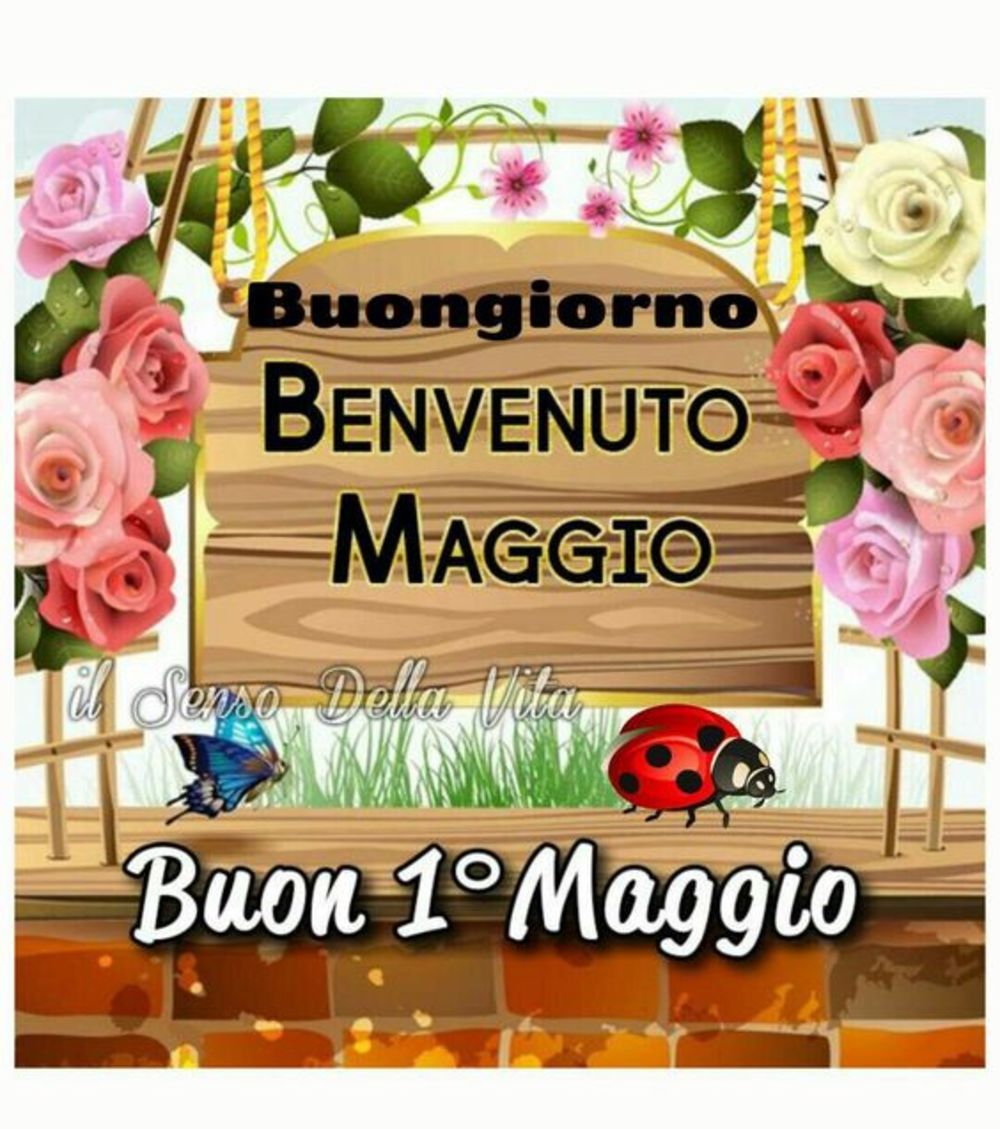 Buongiorno 💦💦