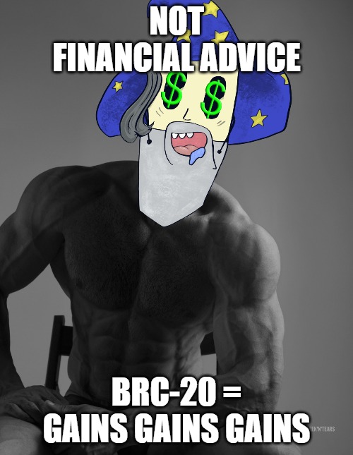 GM. Hope you internet degens are all loving the BRC-20 market as much as we are. Today the market historically broke a $100 million+ marketcap. Only the beginning. Be sure to grab some $wizy along the way. #brc20 #Bitcoin #gains