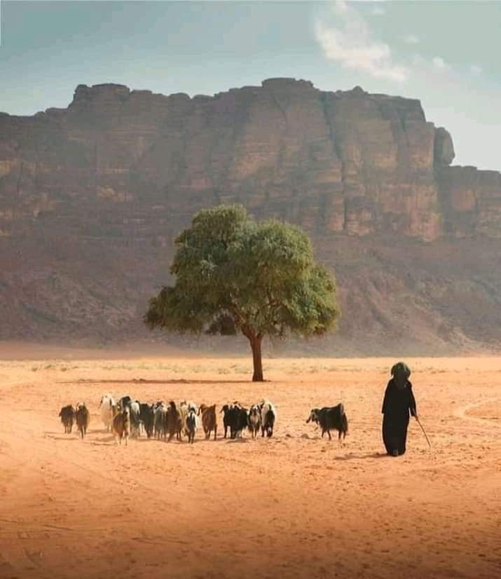 ArmanP00's tweet photo. مرور خلک تل مرور مه پریږدې دُنیا فاني ده بیا قبر کې نه پخلا کیږې:

@ShukriaYouspi https://t.co/CaGfW4uYL0