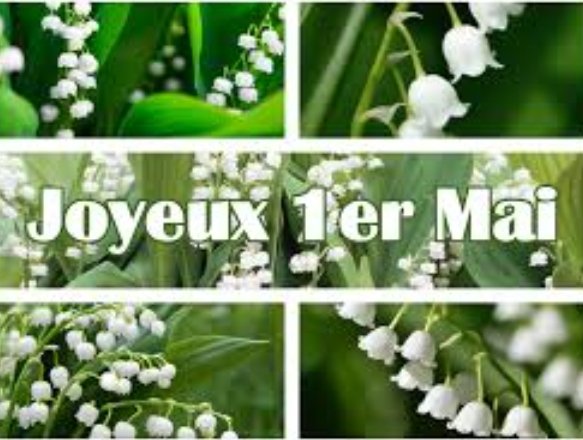 "En ce 1er mai, que le muguet porte-bonheur vous accompagne tout au long de l'année dans votre vie professionnelle et personnelle."
#bourbourg   #bonheurpourtous