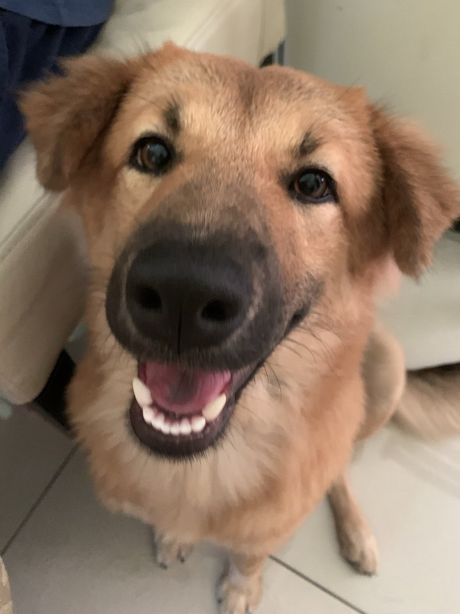 kleixsy's tweet photo. sorry to see u go 🥺❤️‍🩹 https://t.co/Xpaaw1Rrcc