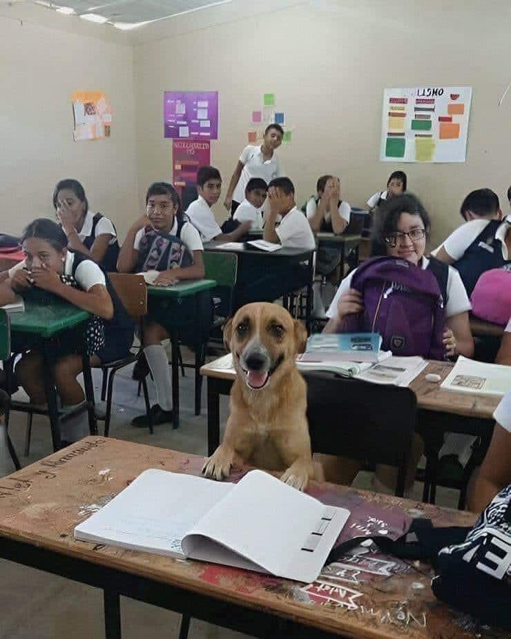 2002mohm's tweet image. 😂😂