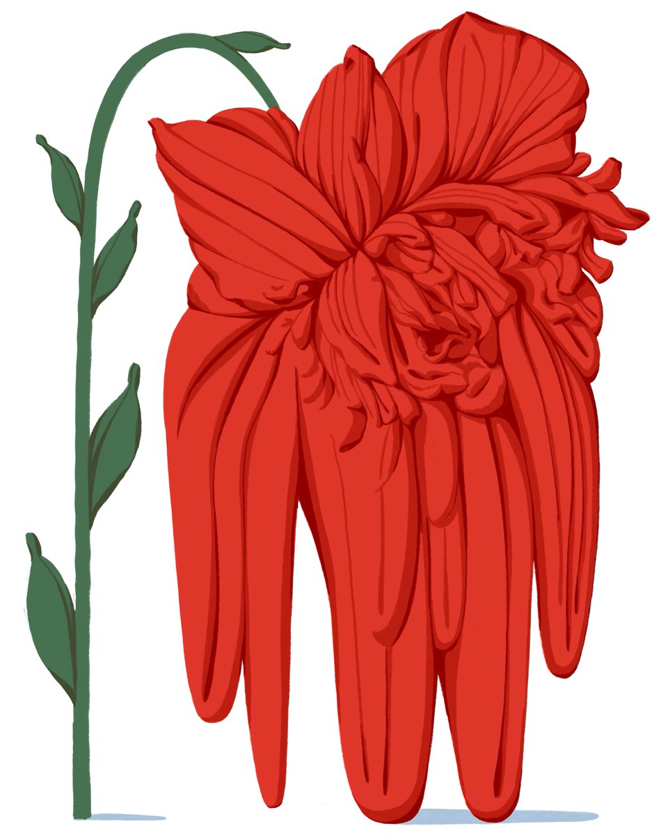 Florian Meissner tweet media