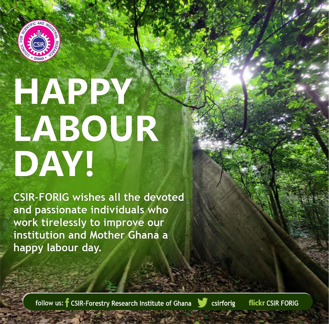 csirforig tweet media