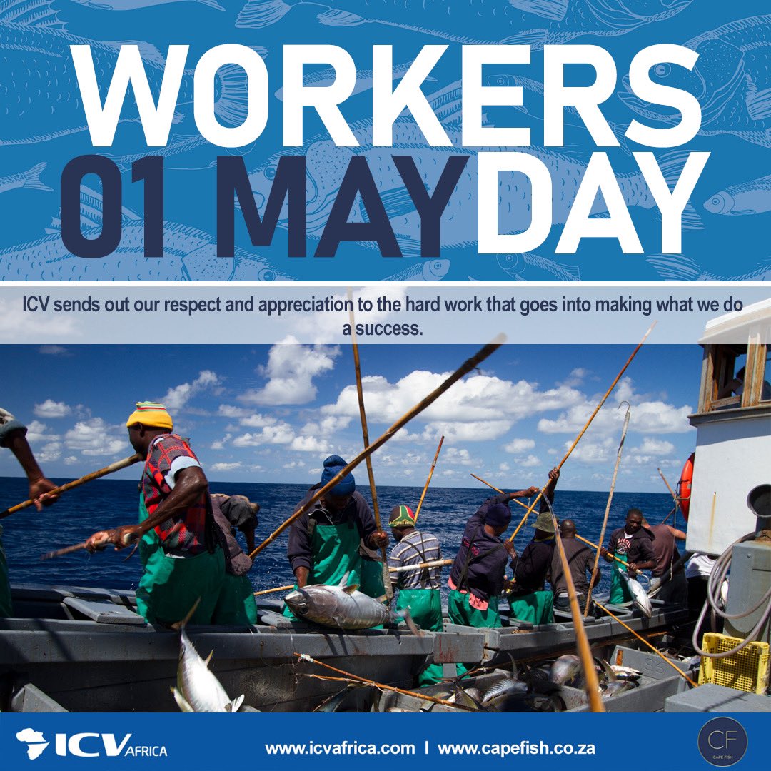 icvtuna's tweet photo. Happy workers day from team ICV 

#workersday #teamwork #tunafishing #onehookoneline #onefishatatime #poleandline #sustainablefishing #icv https://t.co/GCD7Kx7uJl