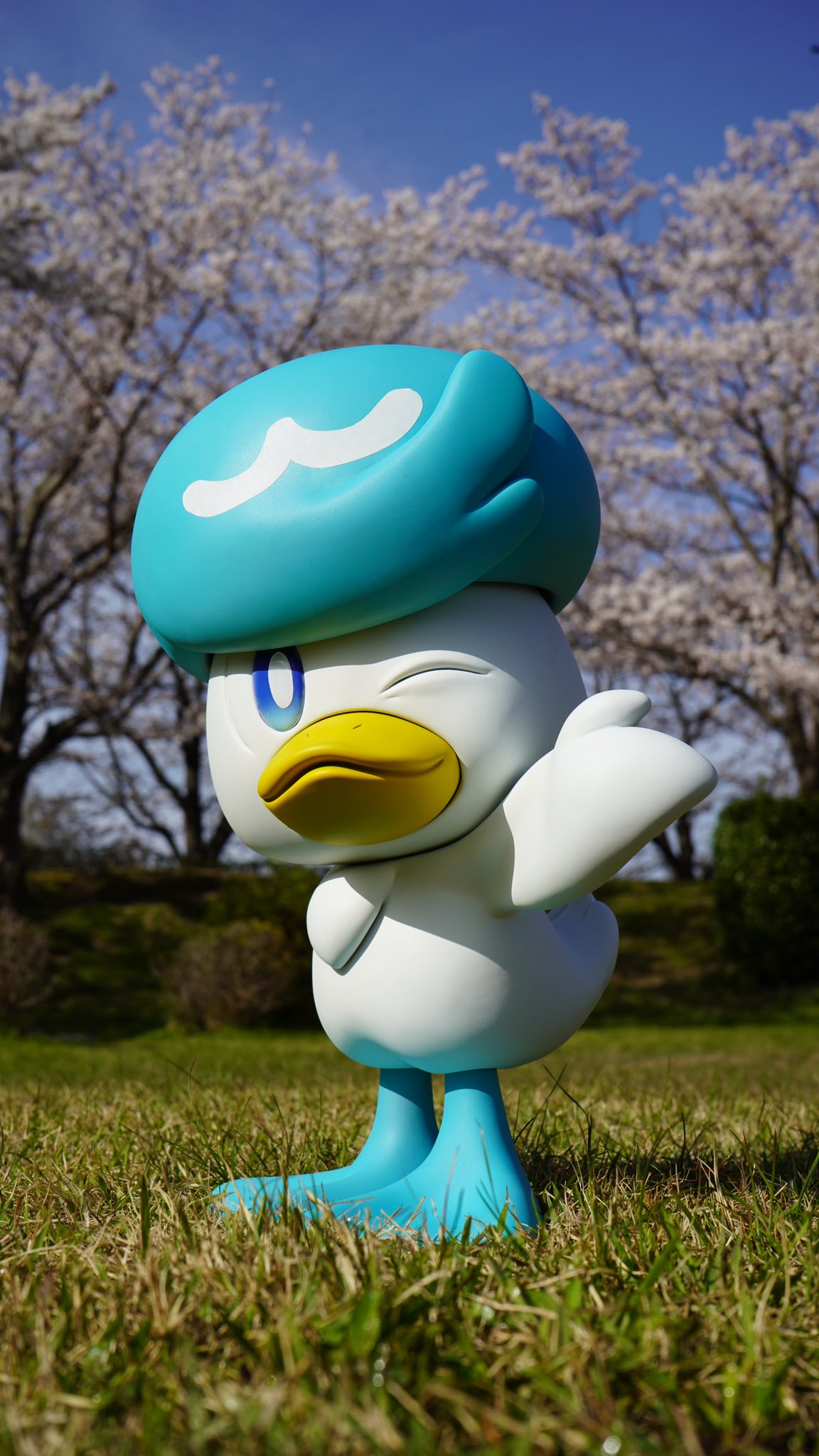 ポケモン カップ 伝統エディション 韓国 ポップアップ 螺鈿 希少 激レア mqdefault.jpg