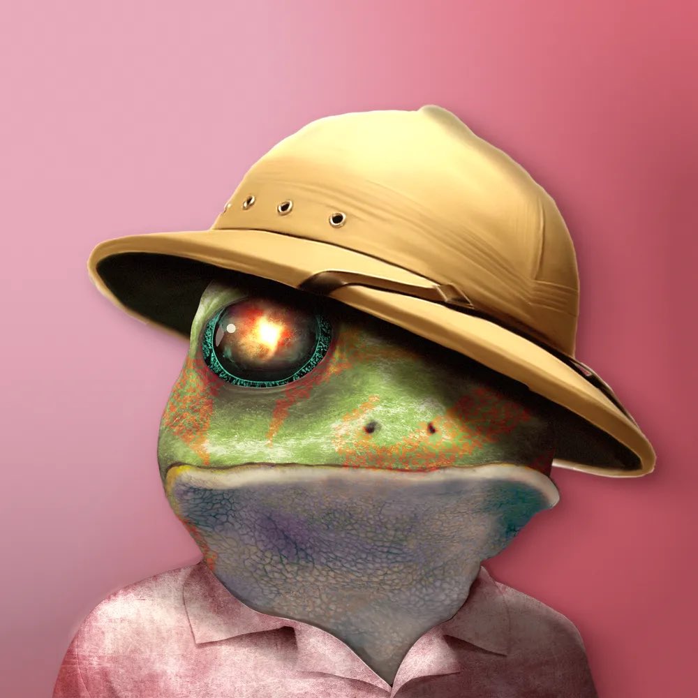 Notorious Frogs 🐸 tweet media