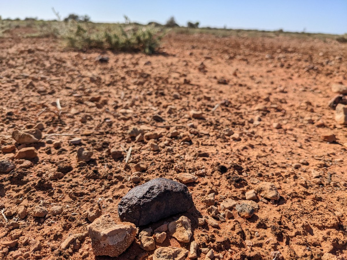 Dr Natasha Stephen tweet media