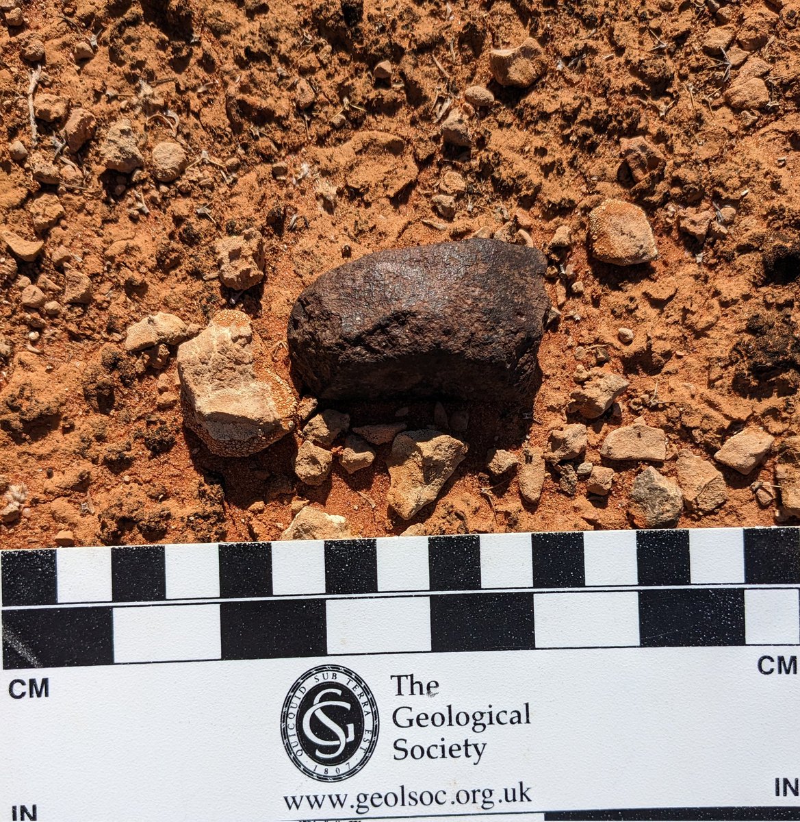 Dr Natasha Stephen tweet media