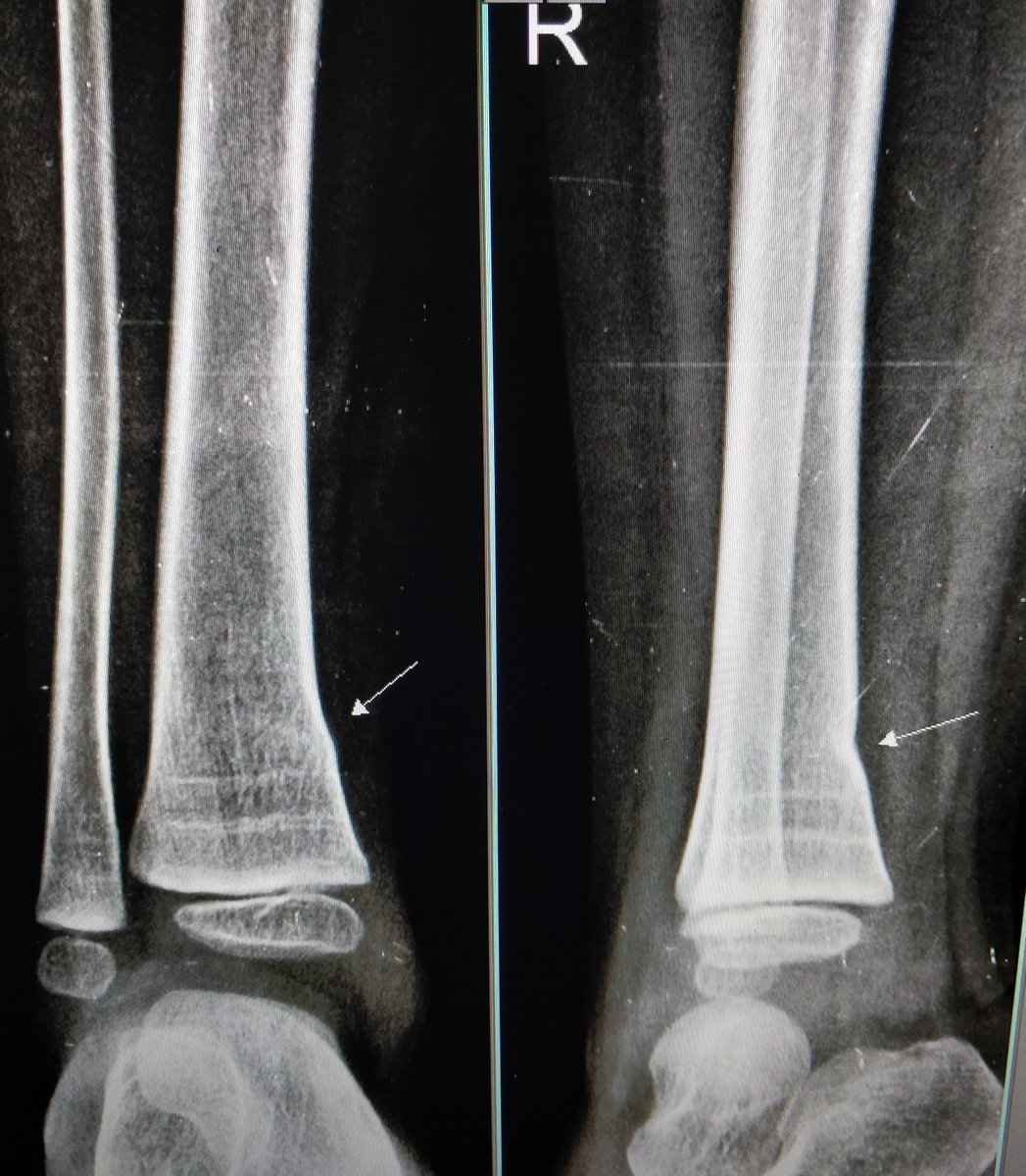 Orthopod tweet media