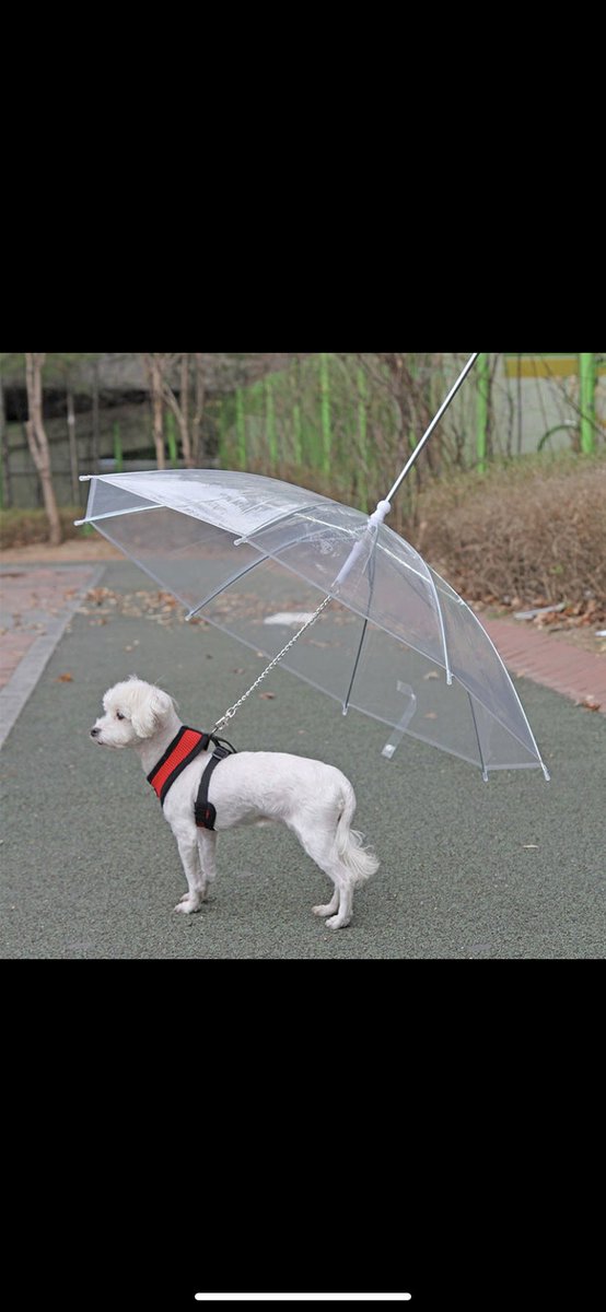 dvirtualmall's tweet photo. Introducing the Pet Umbrella Leash! This amazing product will keep your small dogs dry when walking on a rain or snow day. The metal chain leash attached to the umbrella can be hooked to the dog collar directly, but after training it repeatedly, your pet will feel okay #doglover https://t.co/h7bUwCAv1o