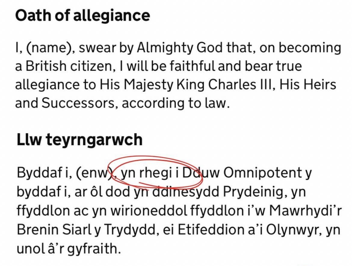 TYNGU = to swear [allegiance]
RHEGI = to swear / to curse