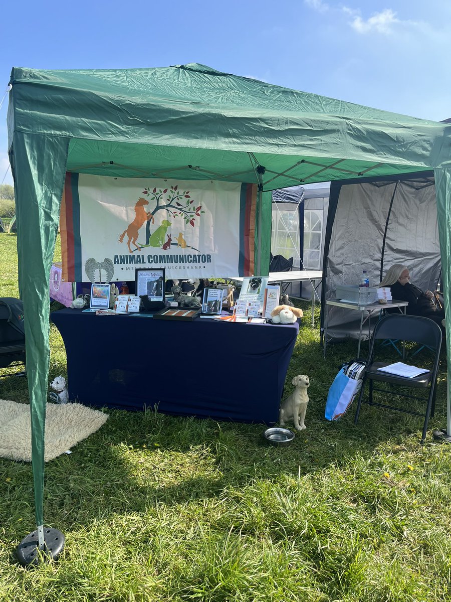 Animal_Comms's tweet photo. A fantastic weekend at Saints camp raising awareness of animal communication @SaintsSledDogs #RescueDogs #animalcommunication #annualcamp #dogrescue https://t.co/62LFJsU3F2