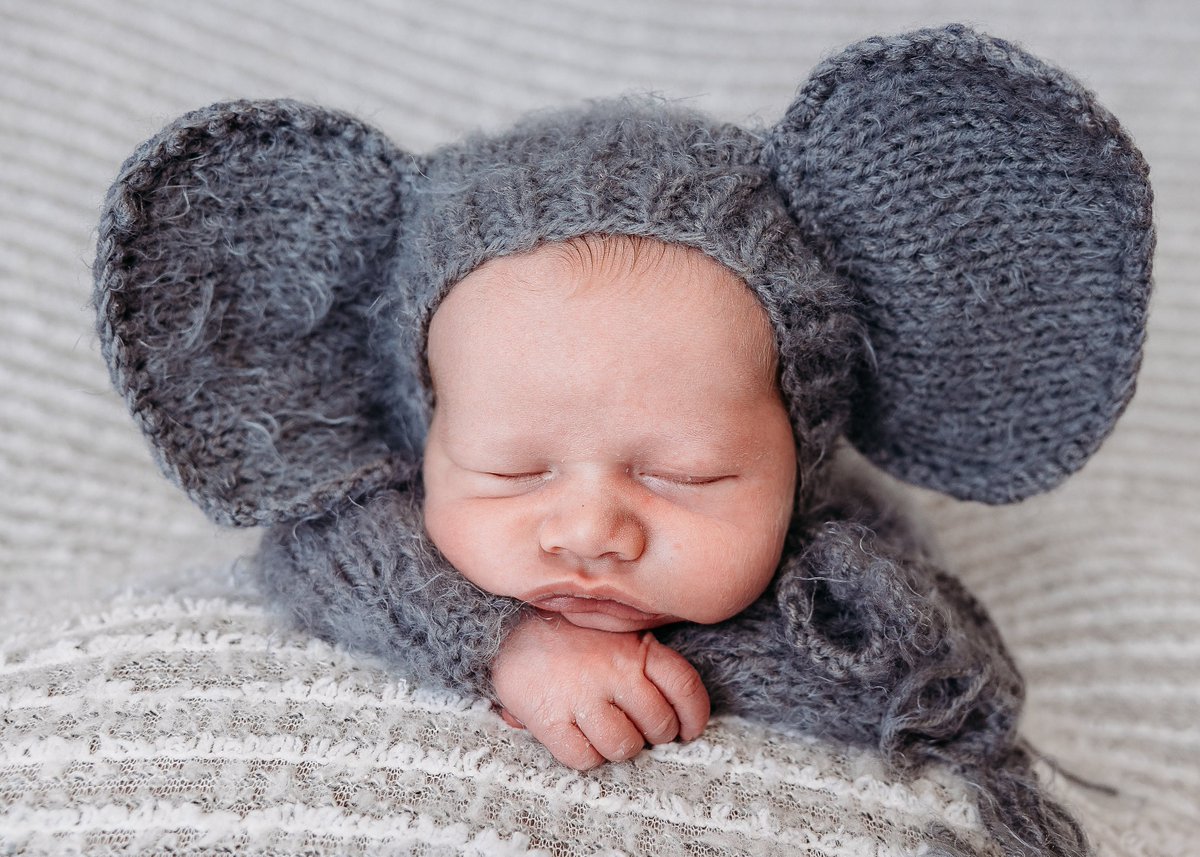 WoolandiaC's tweet photo. Elephant #elephantcostume #elephantoutfit #elephantoverall #elephantsuit #elephanthat #elephantbonnet #elephantcrochet #elephanttoy #elephantbaby #elephantHalloween #babyelephant #newbabygift #newmommygift #babyhalloweencostume #babyshowergift #newbornhalloweencostume https://t.co/goIOtNqPmF