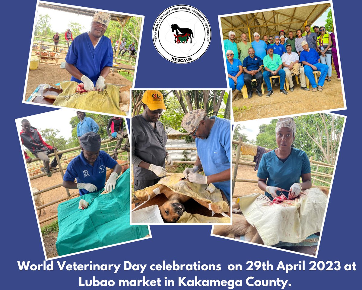 The <a href="/KESCAVAvets/">KESCAVA</a> team came together to celebrate #WorldVeterinaryDay on 29th April 2023 by providing essential veterinary services to pets in need.

Check out these moments of teamwork and commitment and, the joy and compassion we brought to Lubao market in Kakamega County.