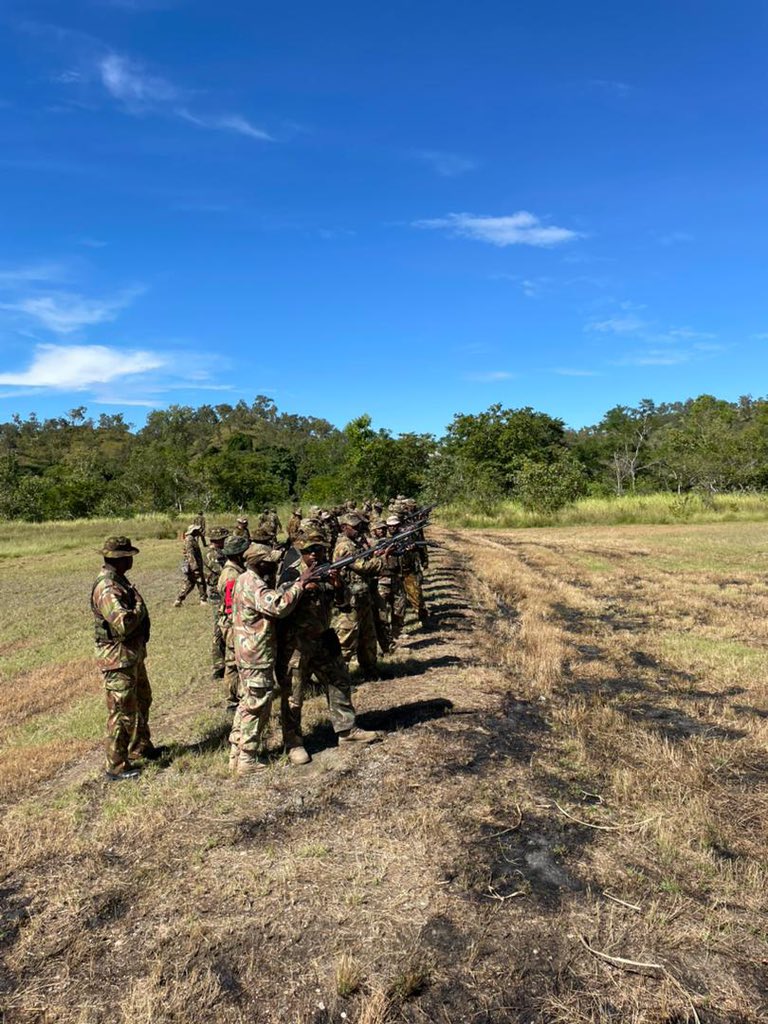 ADFinPNG tweet media