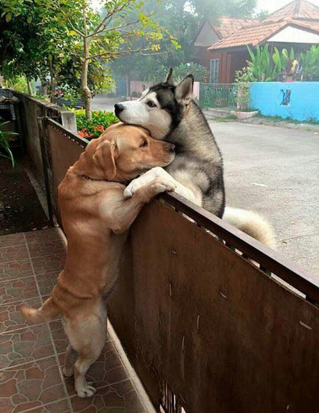_B___S's tweet photo. True Love Has No Boundaries https://t.co/IhP7tle5Tg