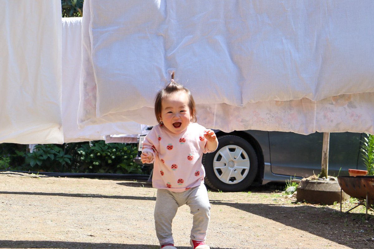 chiikawaekisu's tweet photo. 太陽の匂いがする☀️
2023.05撮影
#eos_kiss_x10 #kissカメラ 
#写真好きな人と繋がりたい
#カメラ好きな人と繋がりたい
#ファインダー越しの私の世界
#キリトリセカイ #カメラ勉強中 https://t.co/oV39Oqml4U