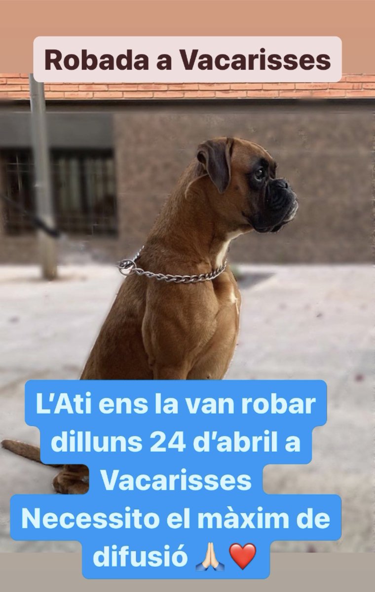 La Rake tweet media
