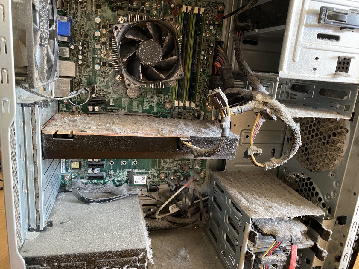 1iGamerAoS's tweet photo. Hey @LinusTech saw you sister in laws computer-video just now. Checkout what I found helping my ex-wife out to fix her slow and noisy computer…. I nearly died cleaning it out and something was living inside the GPU fan (second pic) https://t.co/JICMWobuTX