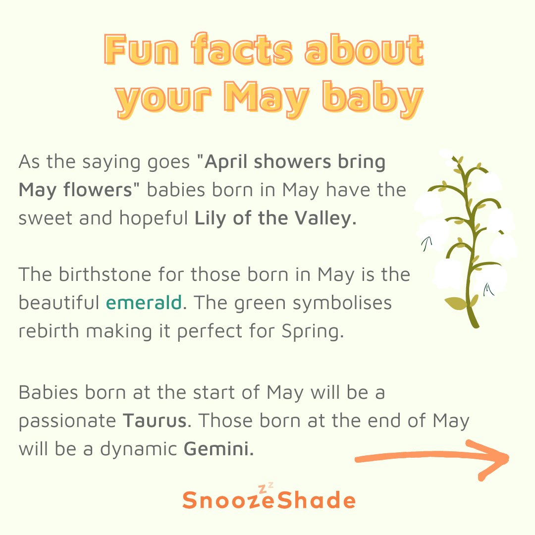 snoozeshade tweet media