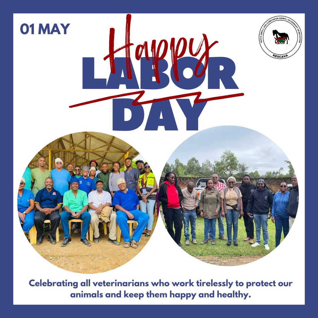 As we celebrate Labor Day, let's take a moment to recognize the essential role that veterinarians play to protect our animals and keep them happy and healthy. 

Your selflessness and dedication are what make the world a better place!

#HappyLaborDay