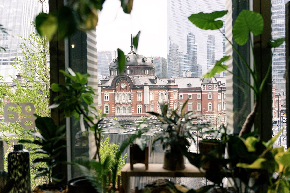 「garege TOKYO」があるのは東京駅、丸ビルです。

店内は観葉植物をはじめ、多肉植物、サボテン、苔、シダなど様々なジャンルの植物が並びます🪴

さらにインテリア、雑貨などを販売するスペースの他に作家の作品を展示するアートギャラリーも併設されています！
andplants.jp/blogs/journal/…