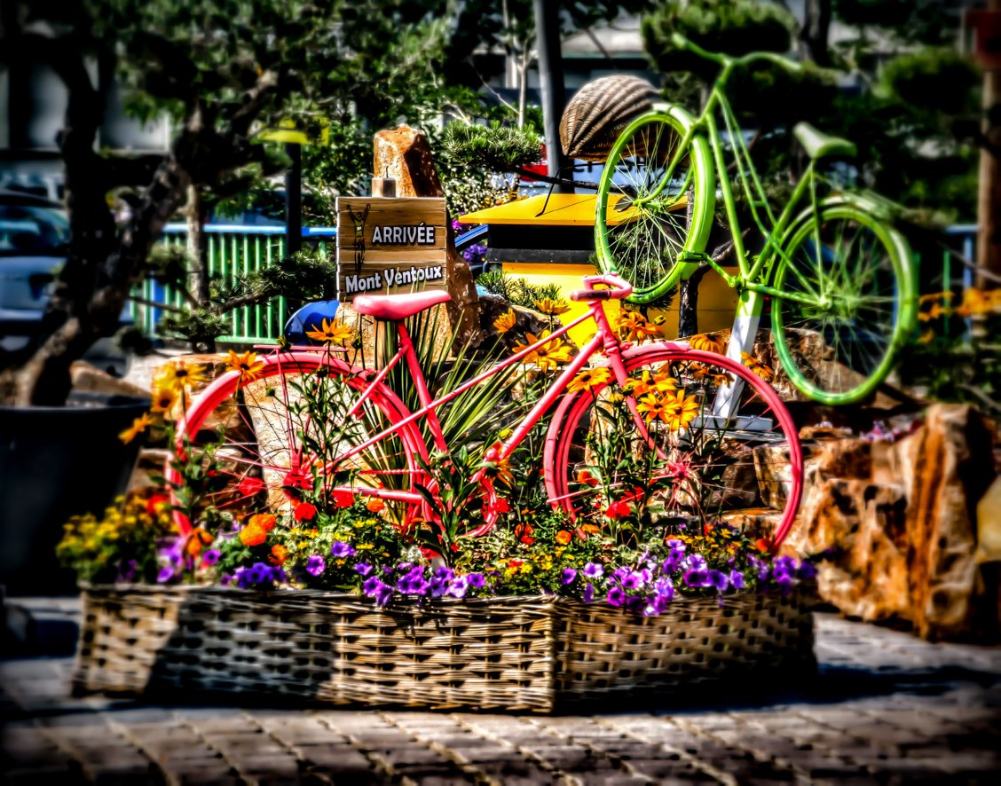 Monographicalx's tweet photo. Bikes come in all shapes, all sizes, and all colours, and on my travels, I have seen all kinds of celebrations of the two wheels.

for this and lots more > https://t.co/PU4sTJbudN https://t.co/0f98VTaEiI