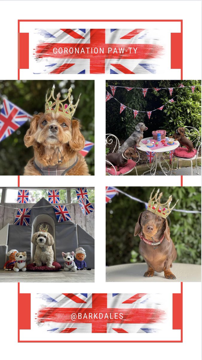 Barkdales Luxury Dog Nursery tweet media