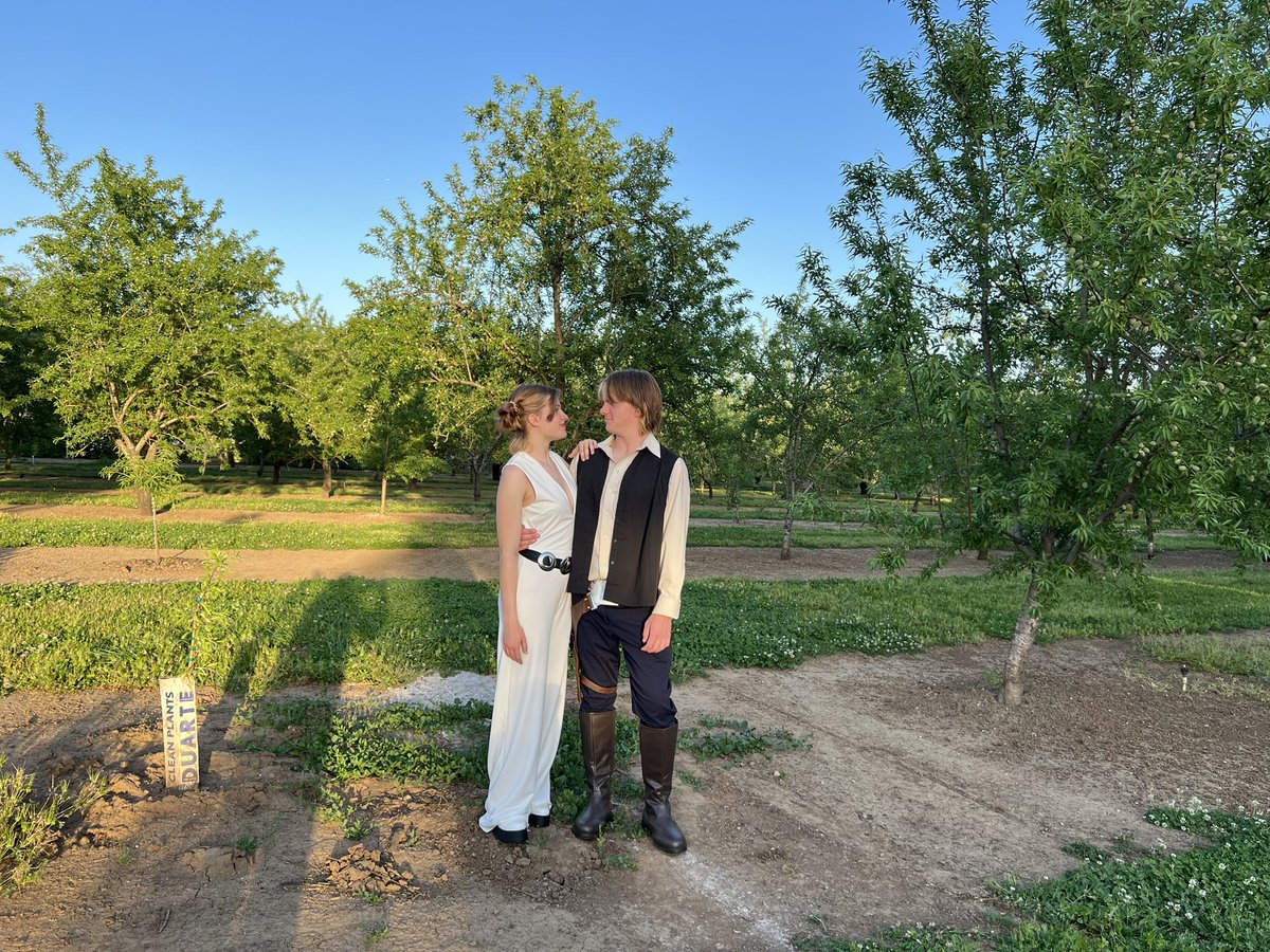 SoPertinacious's tweet photo. My daughter and her boyfriend dressed up for their Under the Stars themed prom as Han Solo and Princess Leia . ❤️ it!
#Prom2023 #StarWars #MyFavoritePeople #MyKidRocks #BeYou https://t.co/qchK6B17Fa