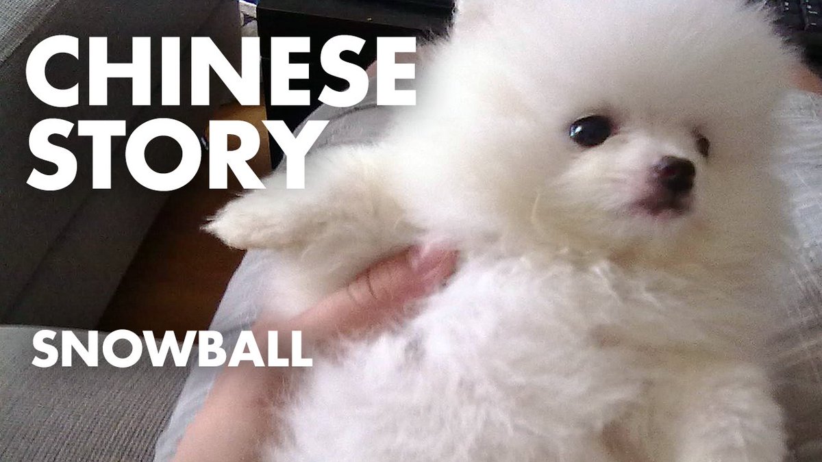 chinese4us's tweet image. 🎁New Release!!! Free New HSK2+ Chinese Speaking Video Lesson! Learn now➥youtu.be/4tsp3gG0zi8
-
A heartwarming story titled &quot;Snowball&quot;. You will practice listening comprehension, pronunciation, and vocabulary related to daily life. 
-
#ChineseLanguageLearning #HSK2