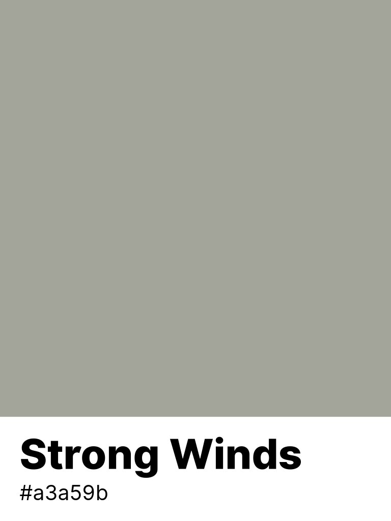 color_parrot's tweet photo. #Strong_Winds #a3a59b https://t.co/g3vIiQx61P https://t.co/BtzUsnaXUi