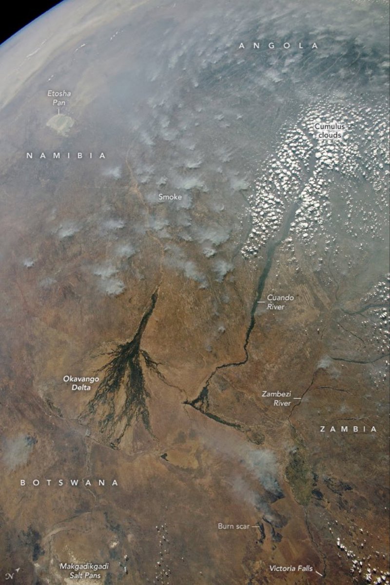 An astronaut aboard the <a href="/Space_Station/">International Space Station</a> captured this panoramic view of the Kalahari Desert in southern Africa. 🧑‍🚀📷🌍

The dark-toned lines of forest in #Botswana’s Okavango inland delta are prominent against the tan landscape. go.nasa.gov/3KMgmKR