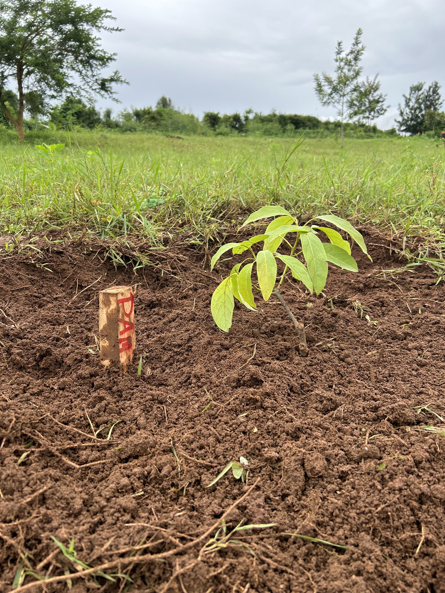 YALTA Initiative (YaltaInitiative) / Twitter